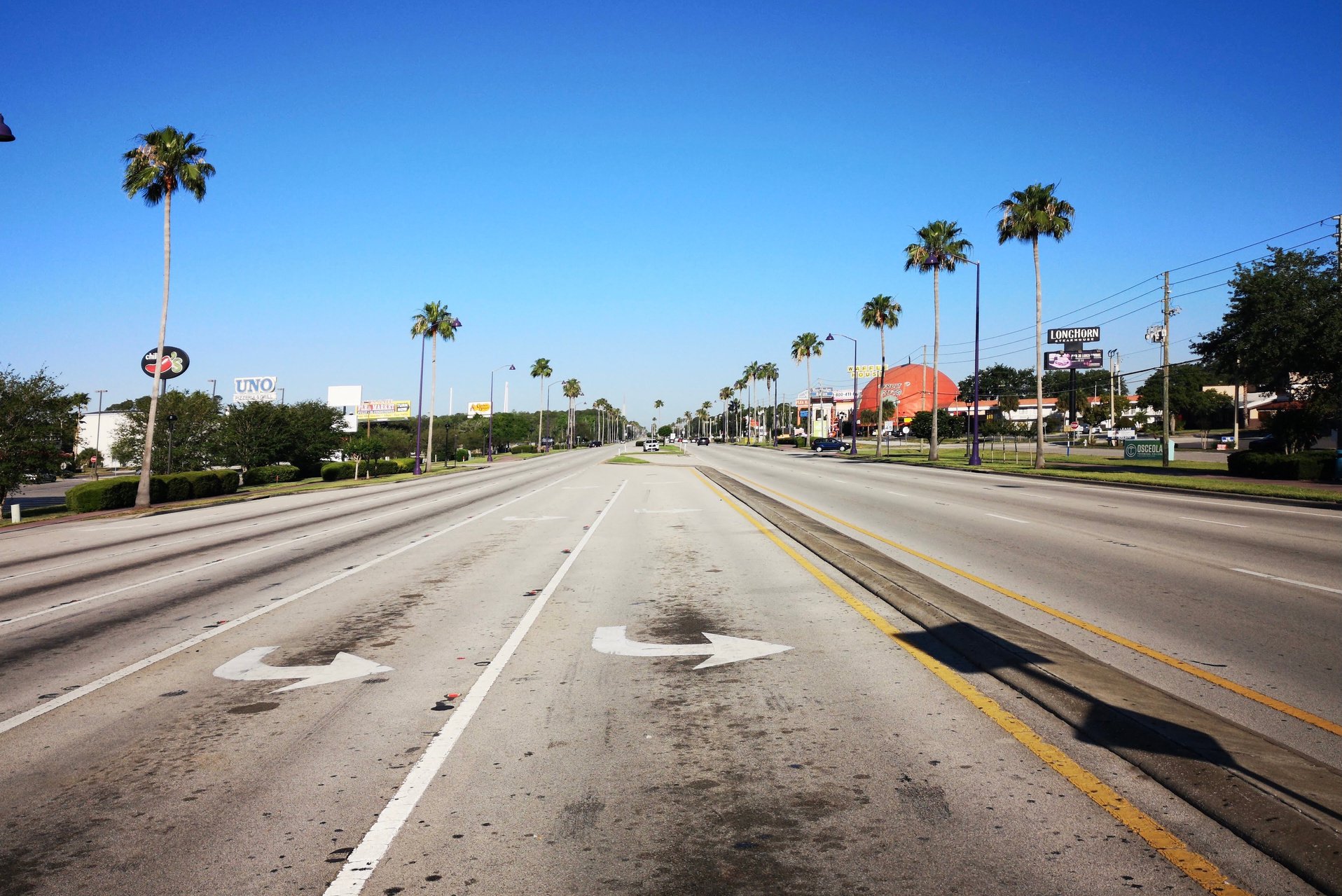 Gray Concrete Road With Trees on the Side